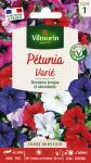 Fleurs - Pétunia Varié - PACKAGING_RECTO